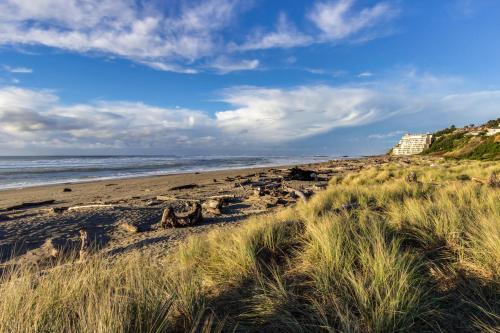 Seahorse 3-c