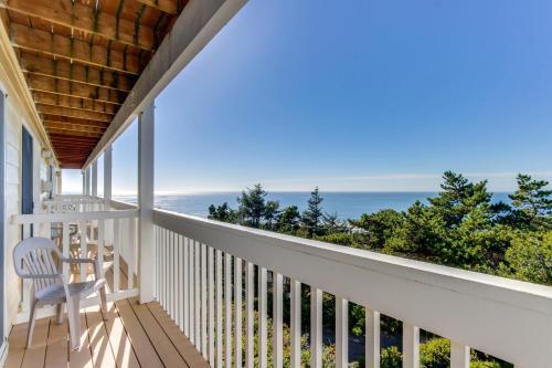 Seahorse 2-h