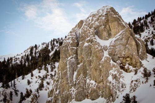 Mammoth Green Condos