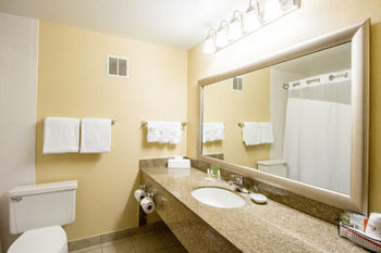 Hotel Holiday Inn Chicago-skokie