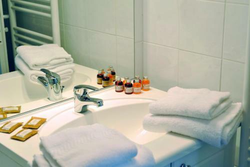 Hotel Park & Suites Confort Grenoble - Meylan