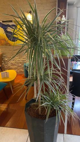 Hotel Beaujoire