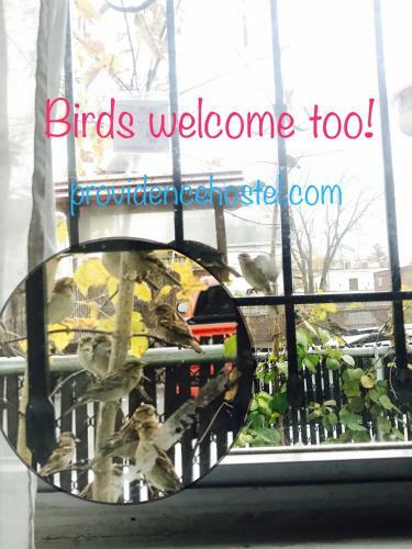 Providence Hostel & Guest House
