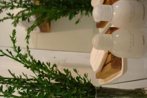 Hotel Sieteflores Hosteria de Monta�a