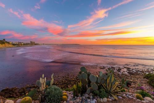 #3755 - Oceanfront Getaway Two-bedroom Apartment