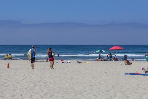 See The Sea Pacific Beach