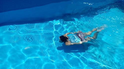 Vivi El Norte Argentina