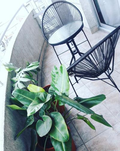 Apartamento Departamento C�ntrico, Espacio Mundano