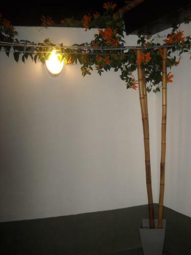 Apartamento Lo De Rossi