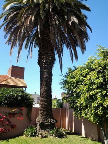 Bed & Breakfast Familia San Mart�n