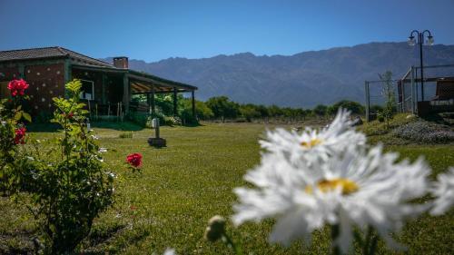 Complejo Valle De Las Rosas