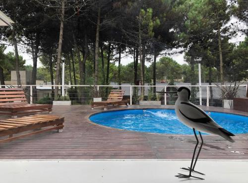 Casa Ideal Para Vacacionar