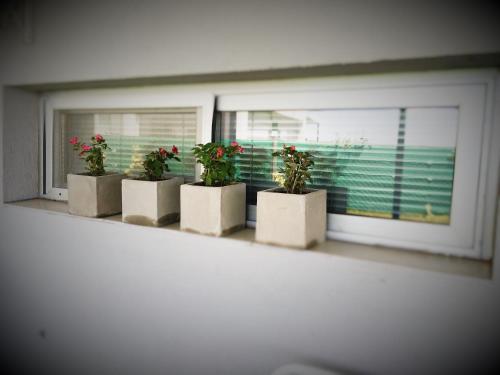 Lodge Casas Del Puerto