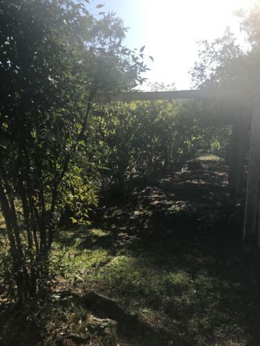 Villa Aned�
