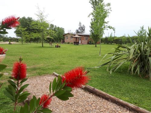 Apartamento Alma Luna Caba�as De Campo