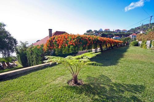 Villa Quinta Girassol By Ourmadeira