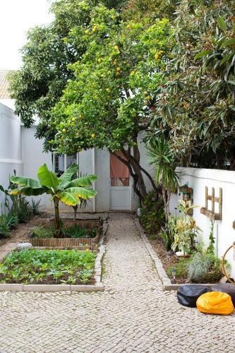 Albergue Well'come! To The Backyard House