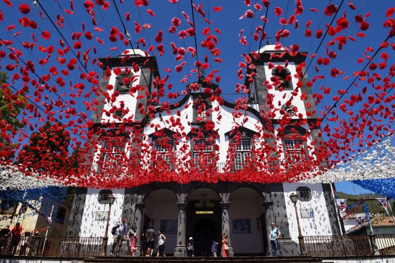 Hostal Babosas Village