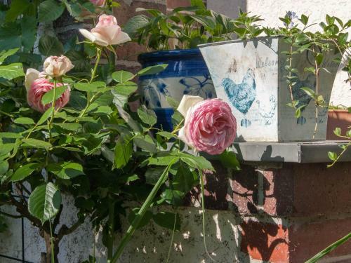 Apartamento Ferienwohnung H�hnel