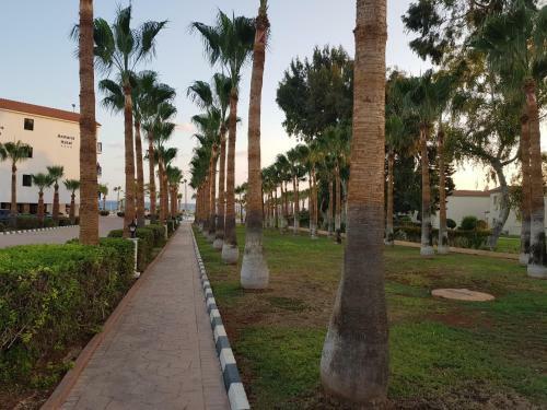 Ayia Napa Holiday Apartment