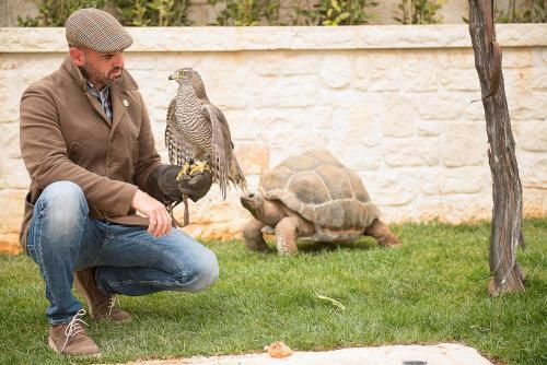 Bed & Breakfast Il Trullo Dell'agricoltore