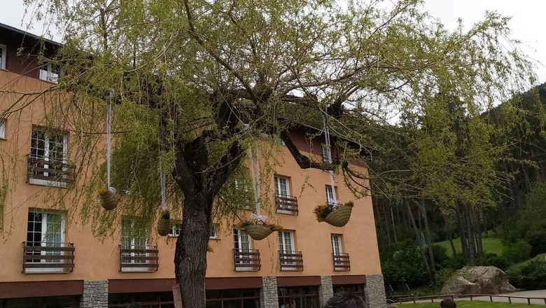 Hotel Roc Blanc