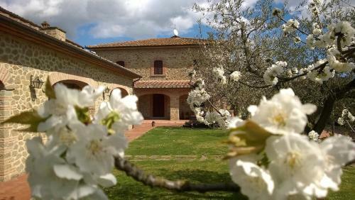B&B Borgo Del Contadino