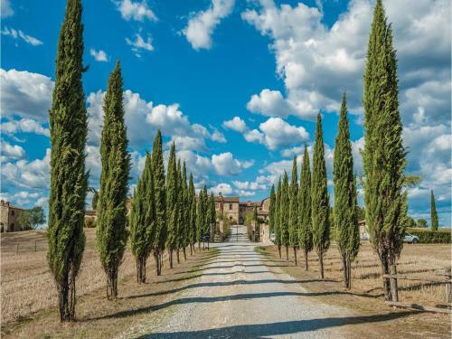 One-bedroom Holiday Home In Asciano Si