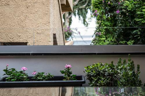 Apartamento Appartamenti Jlune