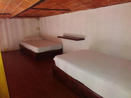 Agroturismo Agriturismo Il Vignone