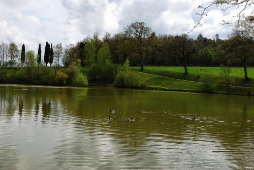 Il Castagno D'andrea Apartment Sleeps 4 Pool