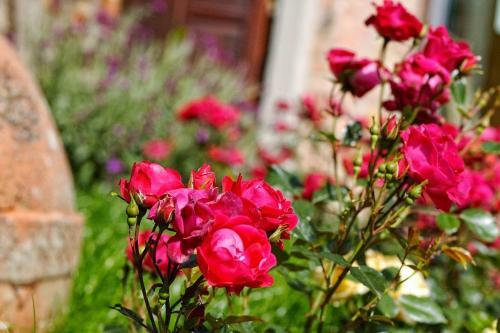 Il Castagno D'andrea Apartment Sleeps 4 Pool