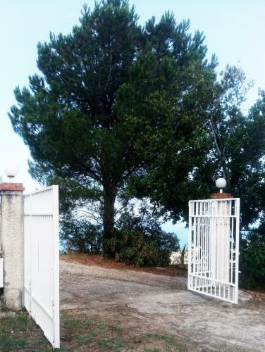 Villa Dafne