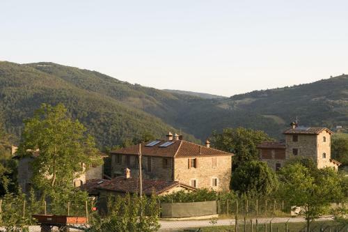 Agroturismo Agriturismo Il Cucciolo
