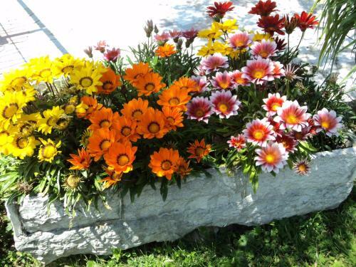 Bed & Breakfast Giardini Di Corte