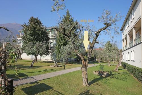 Apartamento Mille Ulivi