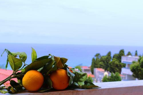 Apartamento Appartamento Federico