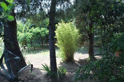 Bed & Breakfast Sea Garden Rooms