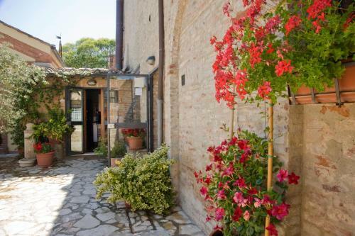 Agroturismo B&B Il Pettirosso Di Siena