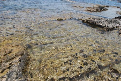 Apartamento Casa Nuvola A Due Passi Dal Mare