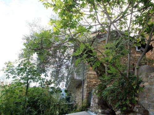 Locazione Turistica Mes Mas