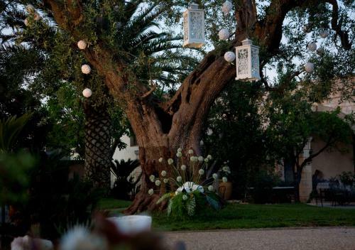 Masseria Asciano