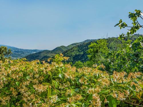 Locazione Turistica Il Castagneto