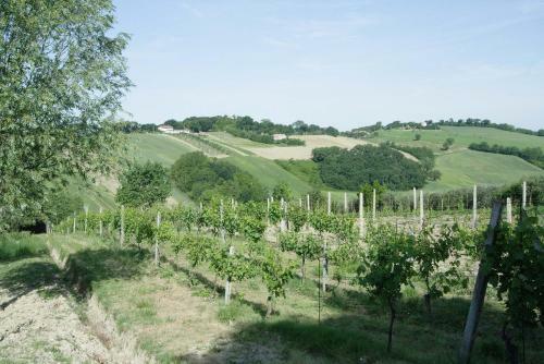 Hotel Country House La Madonnina