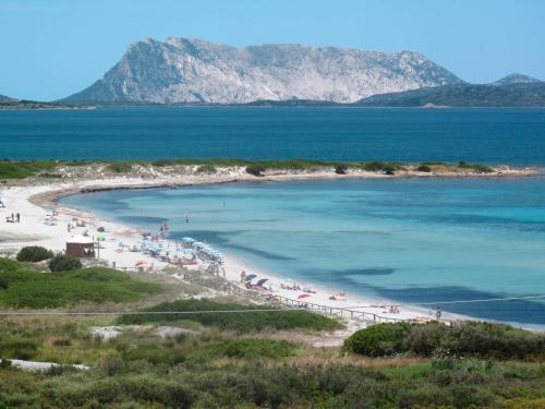 Villa Vicino Punt'aldia 440s