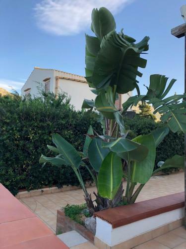 Villa A San Vito Lo Capo Minaudo