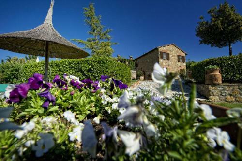 San Quirico D'orcia Apartment Sleeps 3 Pool Wifi