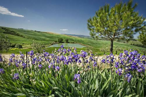 San Quirico D'orcia Apartment Sleeps 6 Pool Wifi