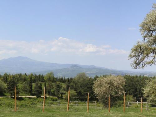 San Casciano Dei Bagni Villa Sleeps 12 Pool Wifi