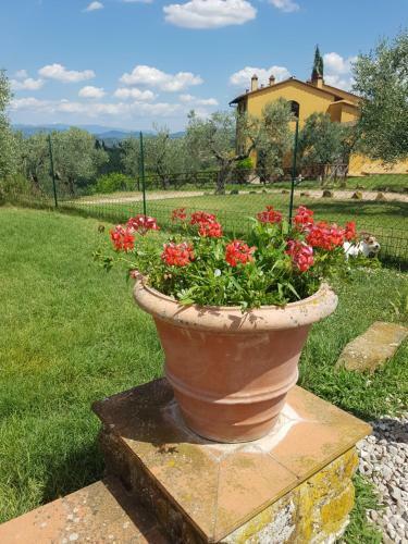 Apartamento Agriturismo Il Pintello
